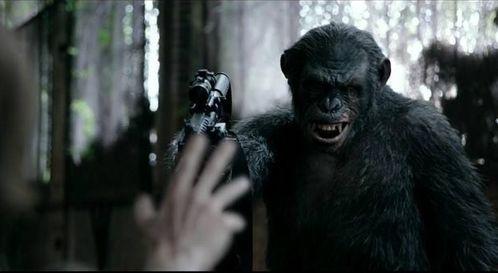 猿族崛起2在线观看,进化之战在线观影指南 第1张 猿族崛起2在线观看,进化之战在线观影指南 第1张